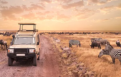 Le parc du Serengeti en Tanzanie