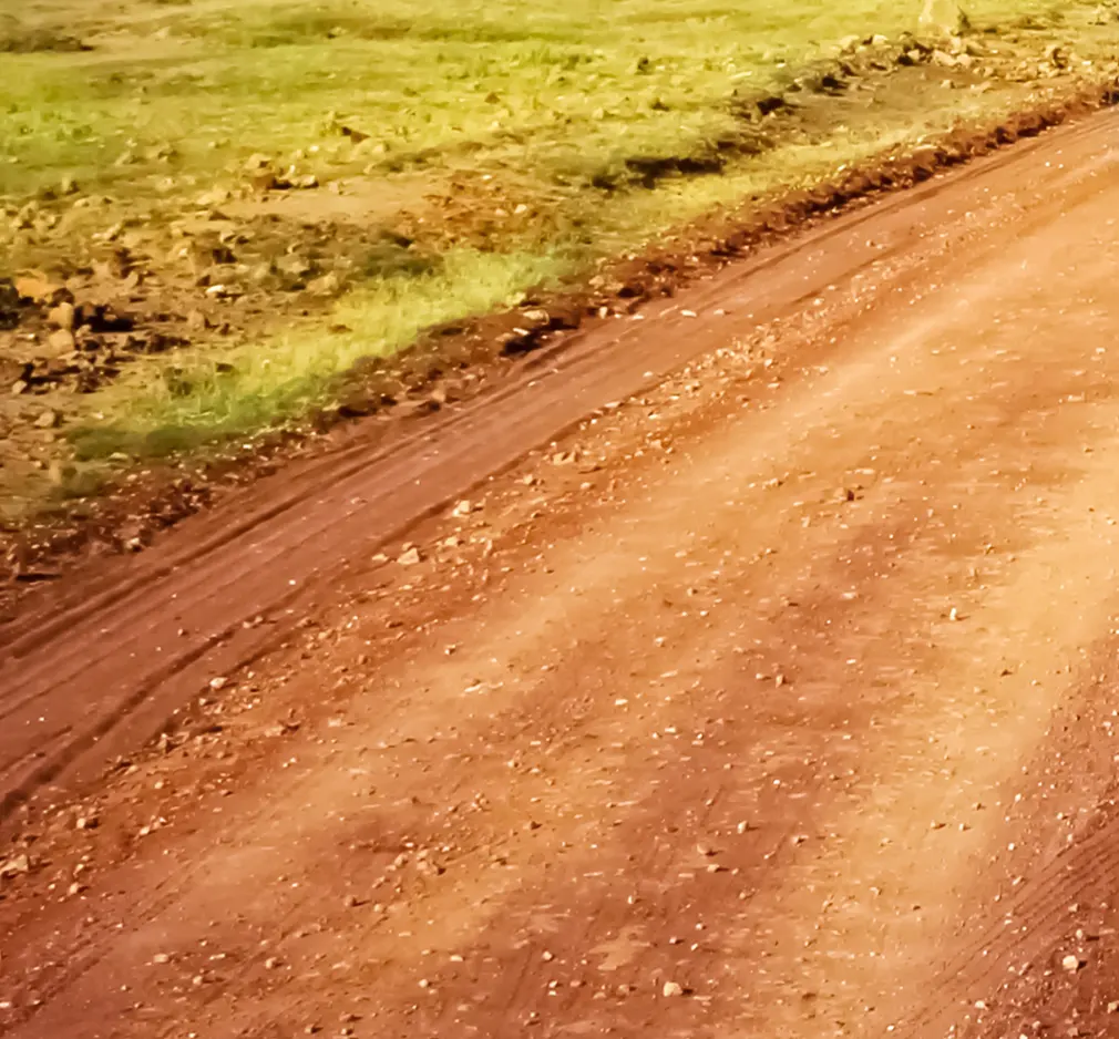 PARTIR DANS LA SAVANE AFRICAINE